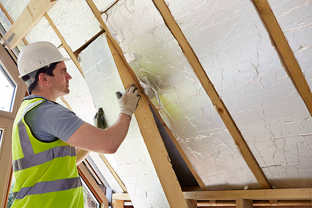 Best Eco-Friendly Insulation in Sunbury, OH