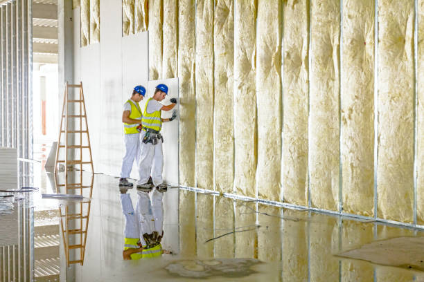 Best Cellulose Insulation in Sunbury, OH